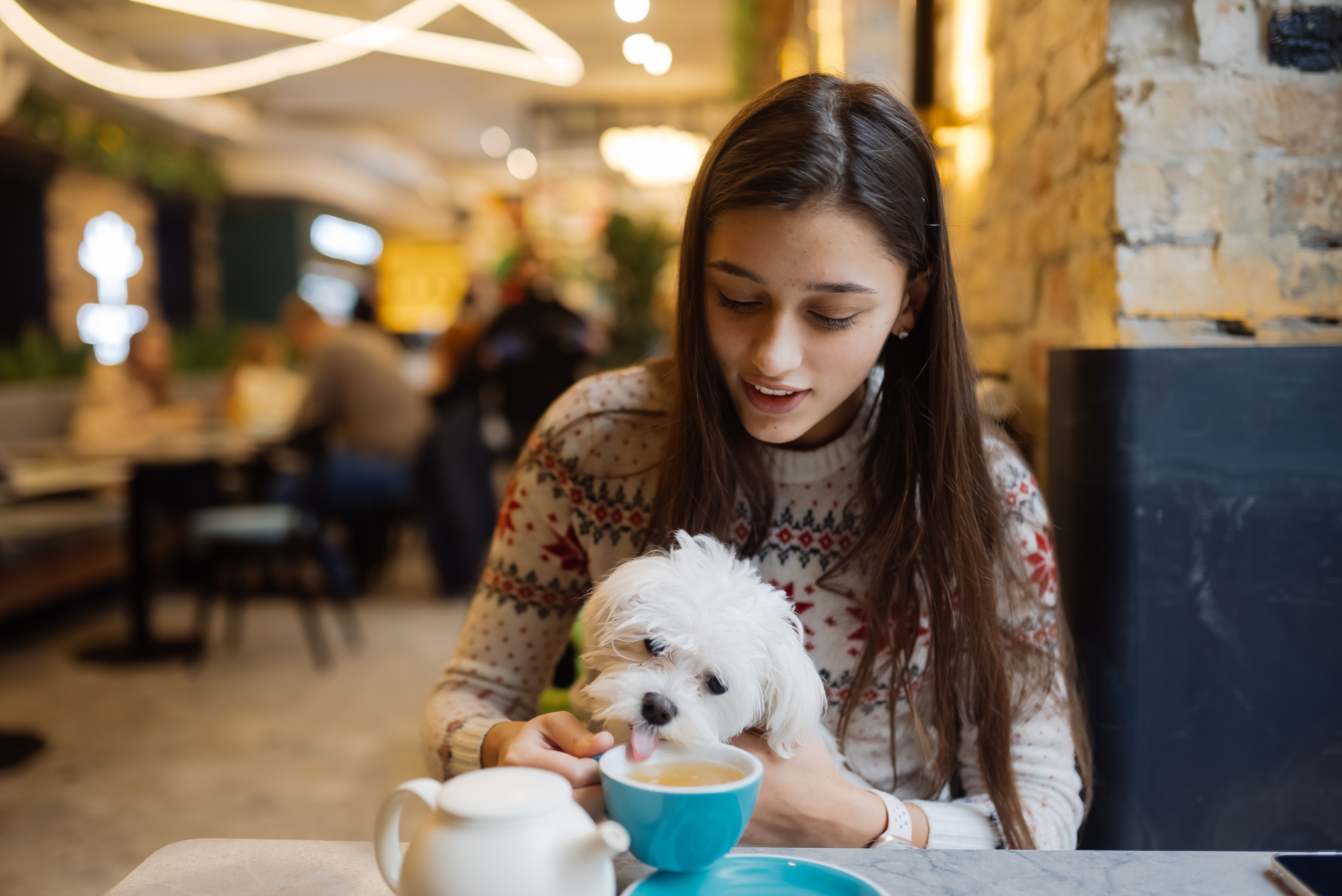 Toulouse Dog-Friendly : les meilleures adresses et terrasses où sortir avec son chien