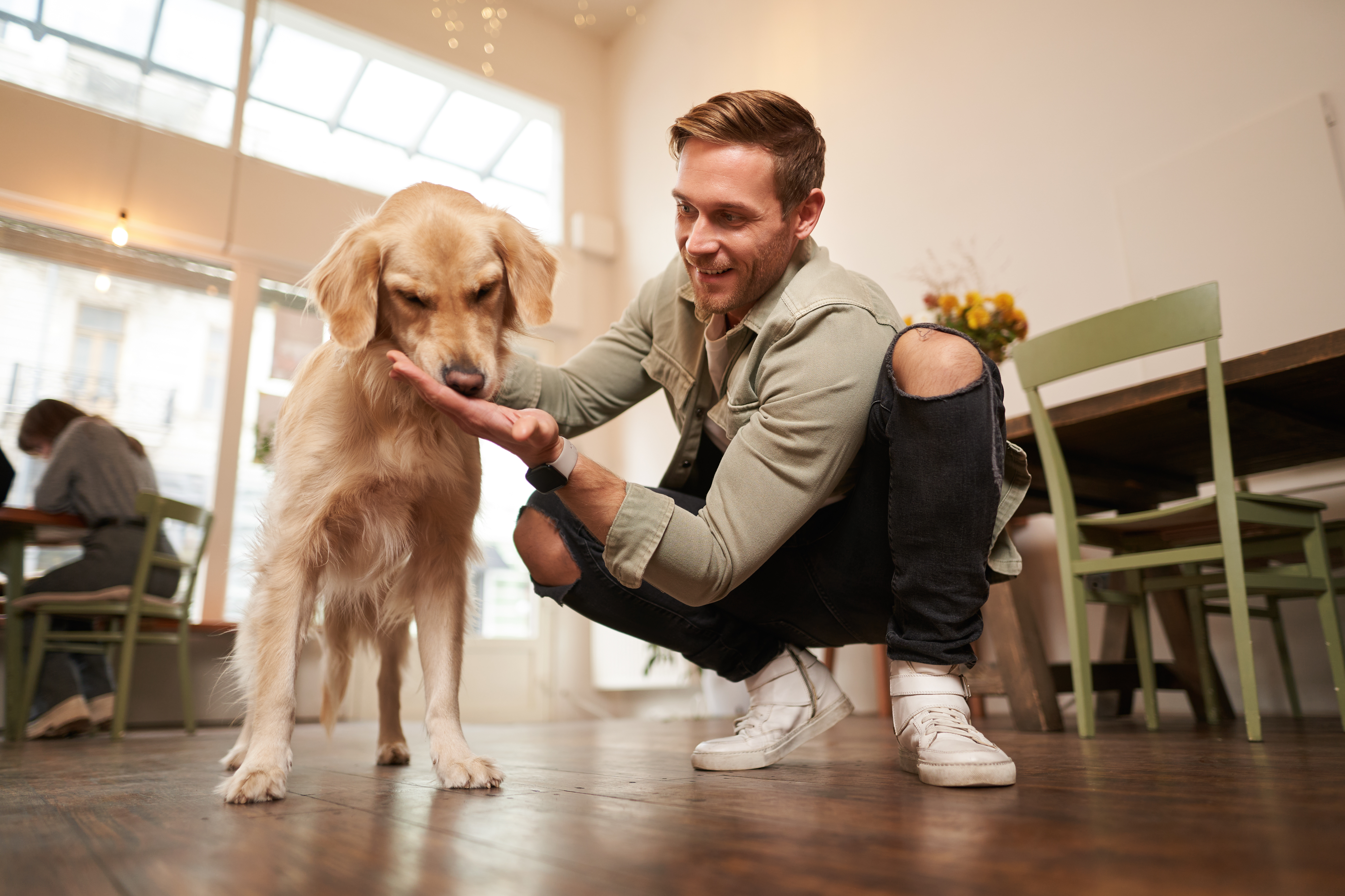 Visite à domicile pour chien : l’alternative idéale à la pension