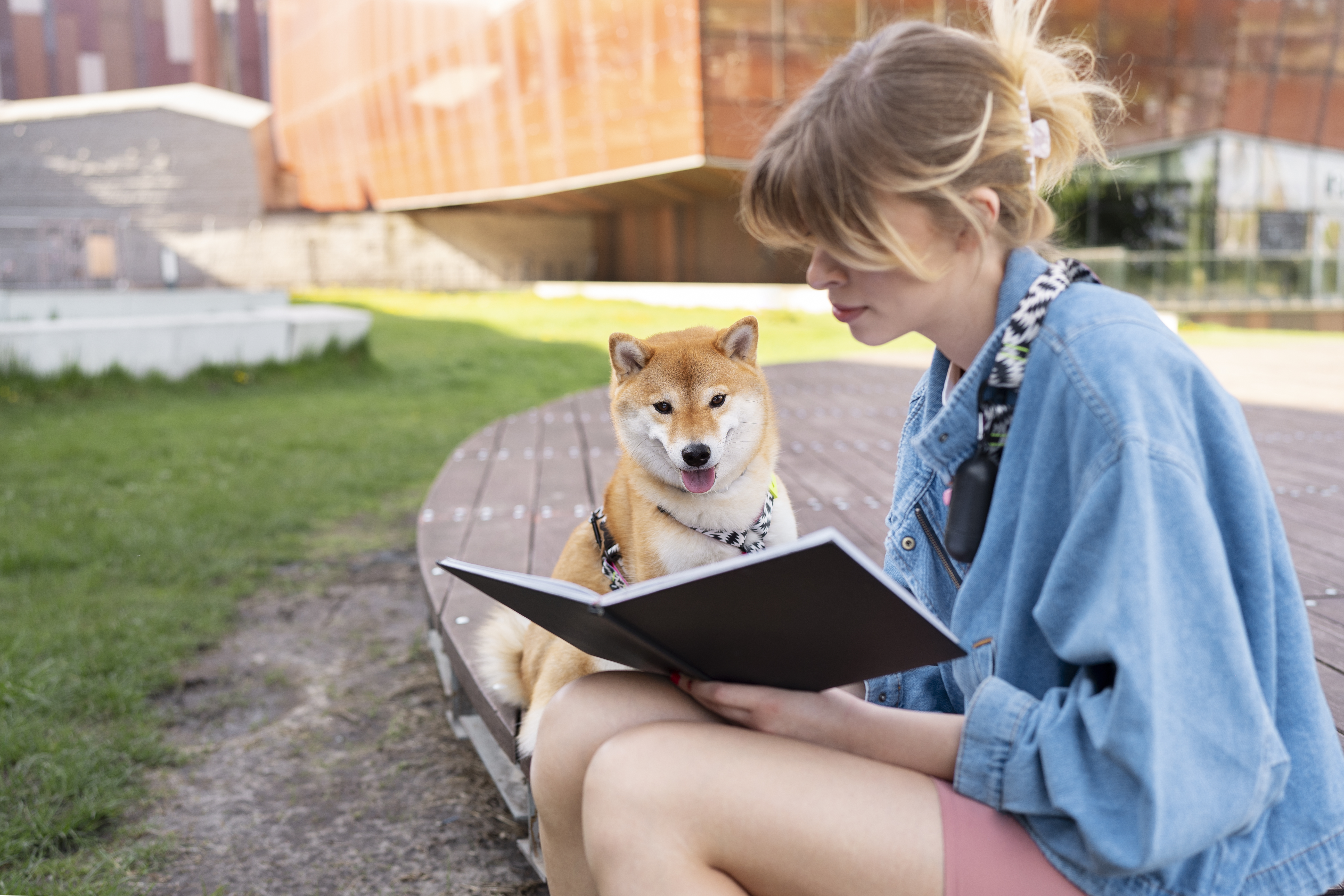 Étudiants à Lyon : comment concilier vie étudiante et pet sitting ?