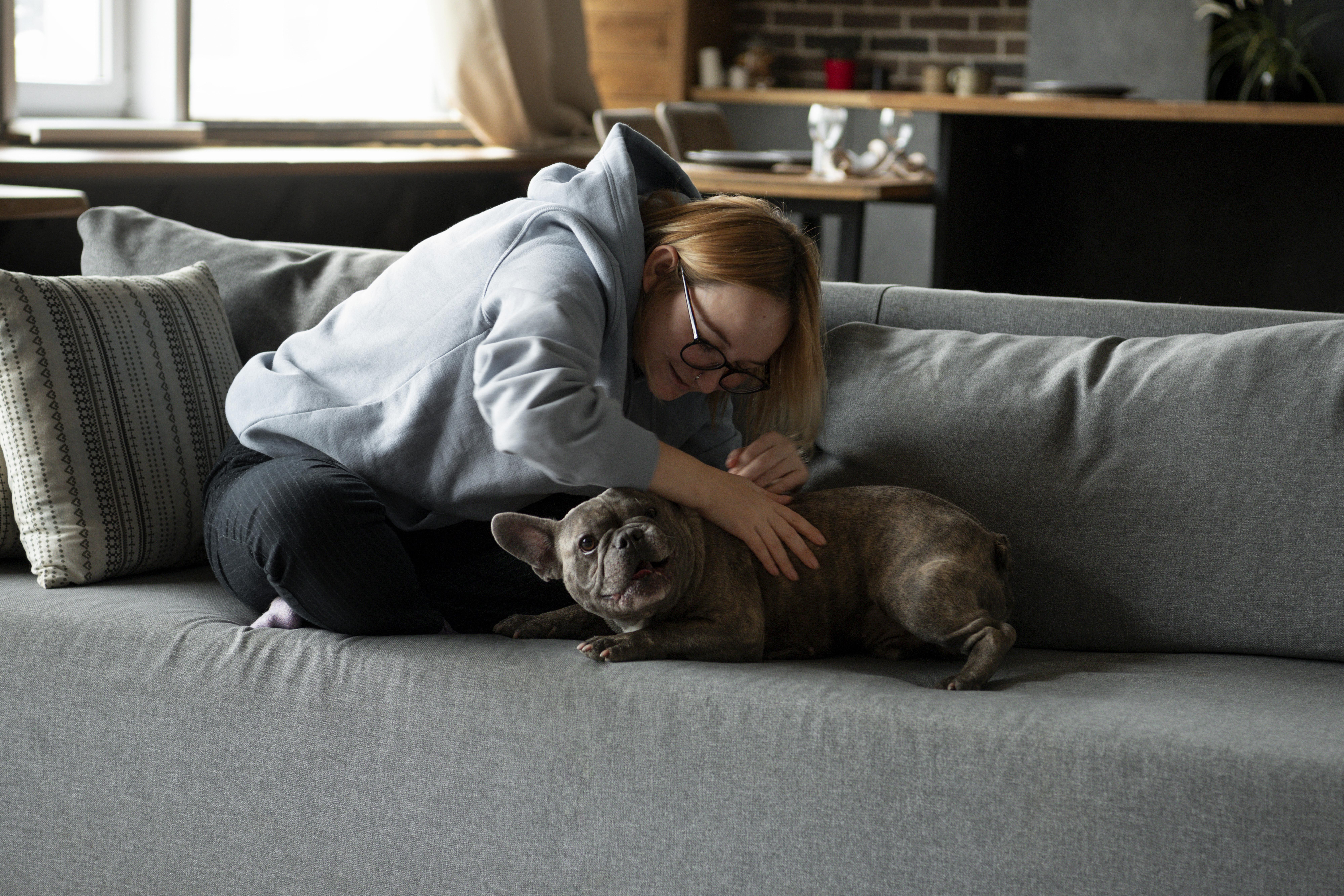 Anxiété de séparation chez le chien : comment préparer le premier départ avec un pet sitter ?