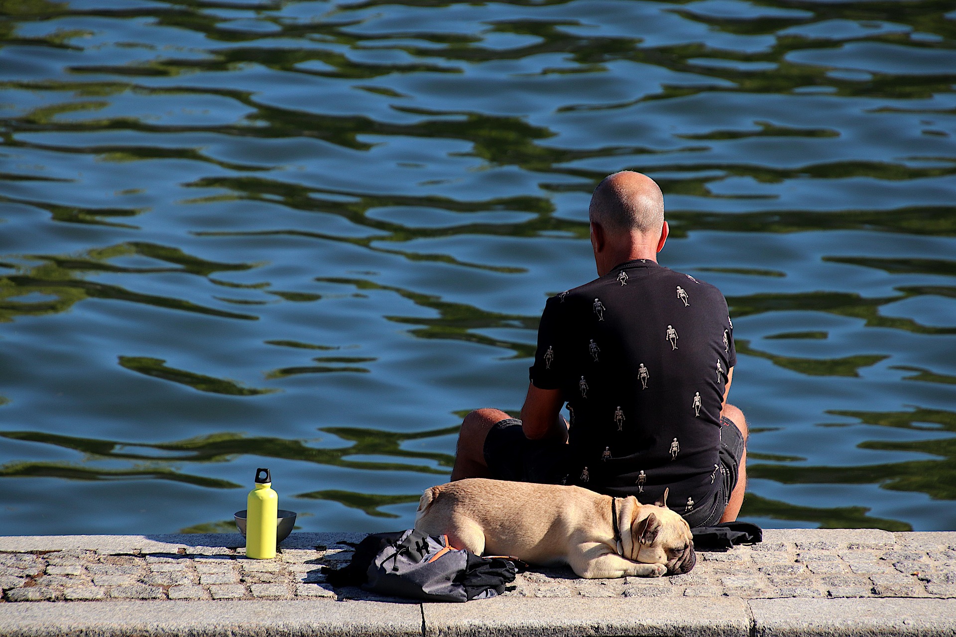 Garde de chien à Paris : comment trouver la meilleure famille d'accueil dans la capitale ?