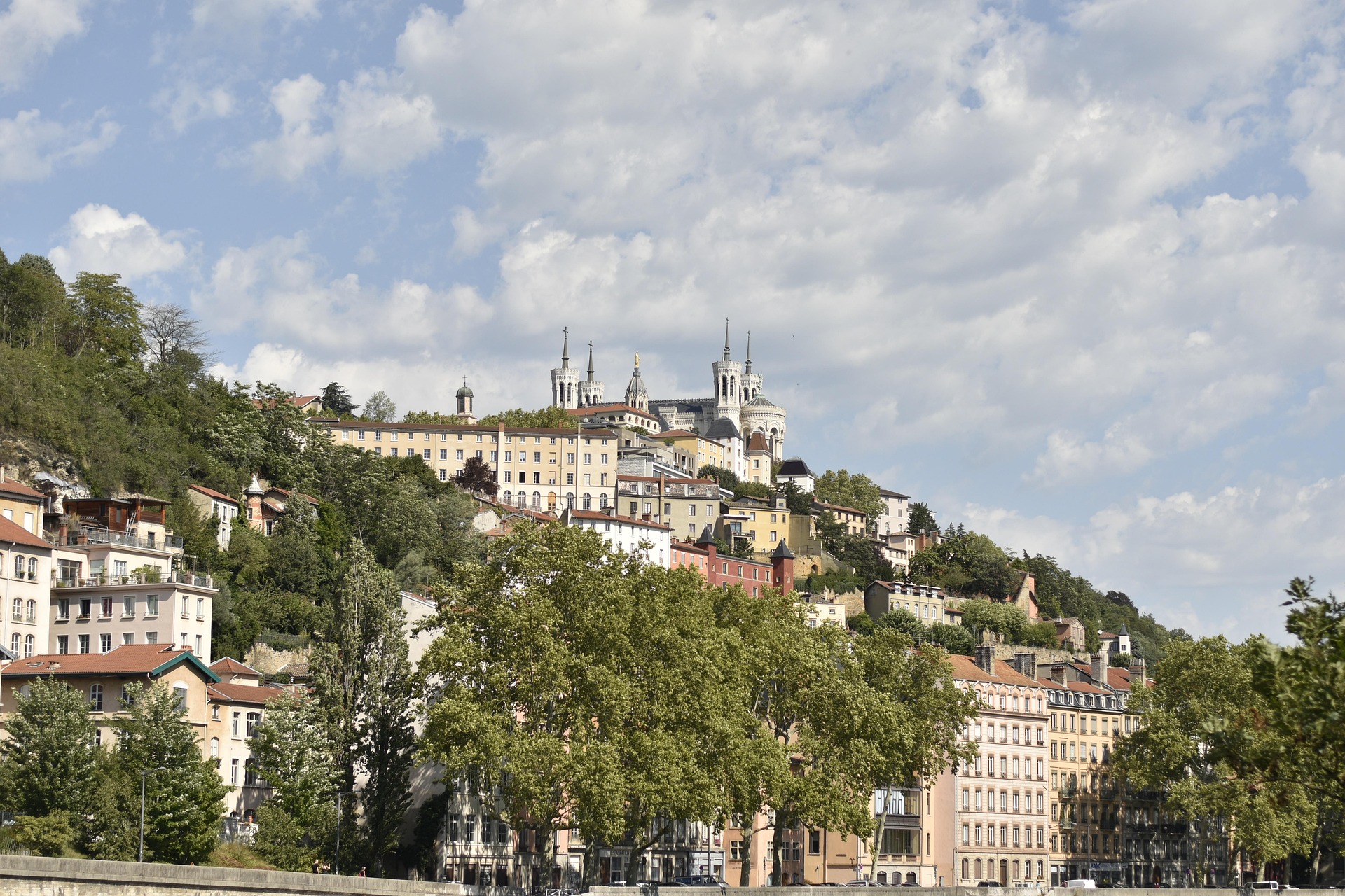 Garde de chat à Lyon : pourquoi choisir la visite à domicile plutôt que la pension ?