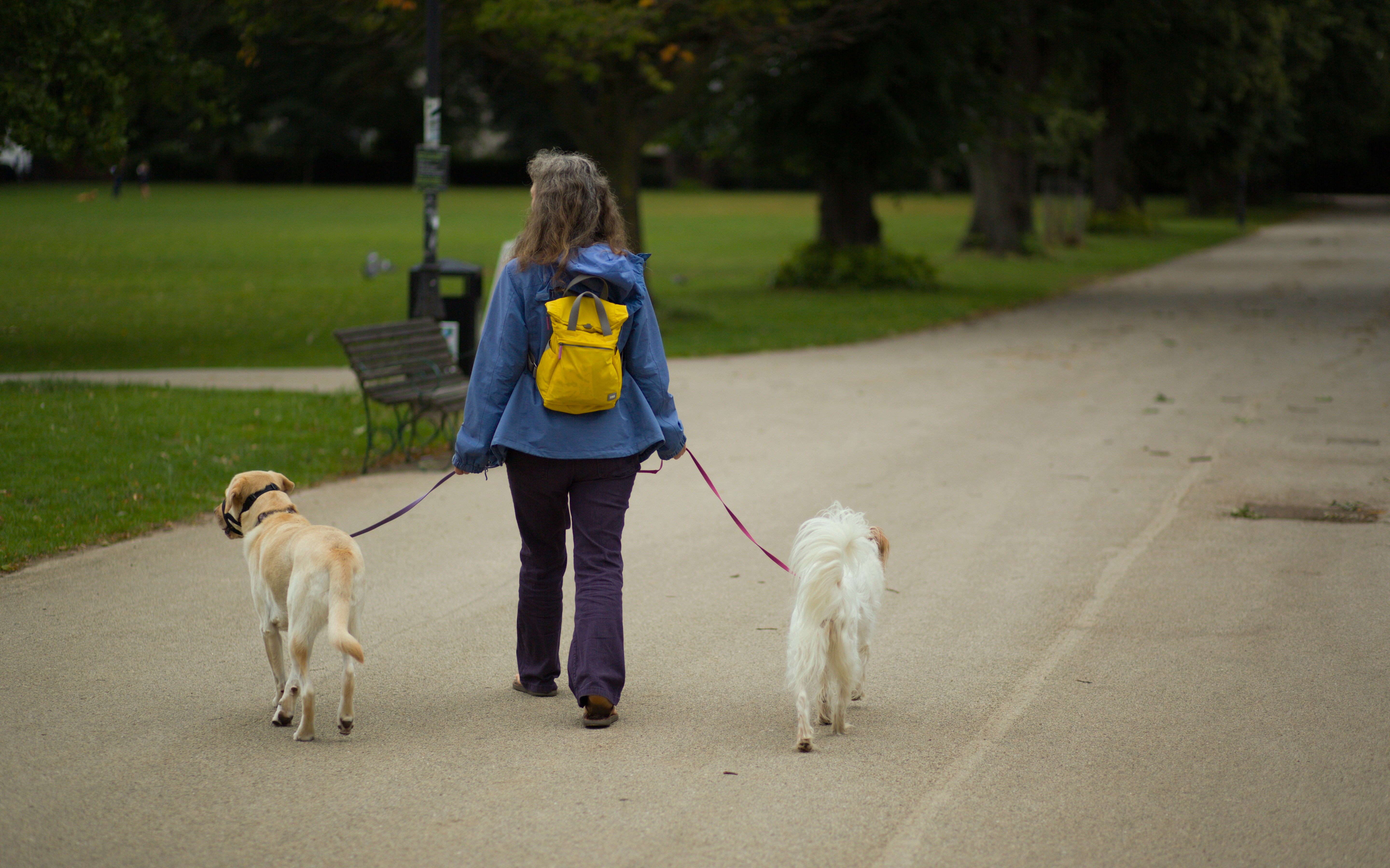 Le sac à dos idéal du pet sitter : Les 7 accessoires indispensables à toujours avoir sur soi