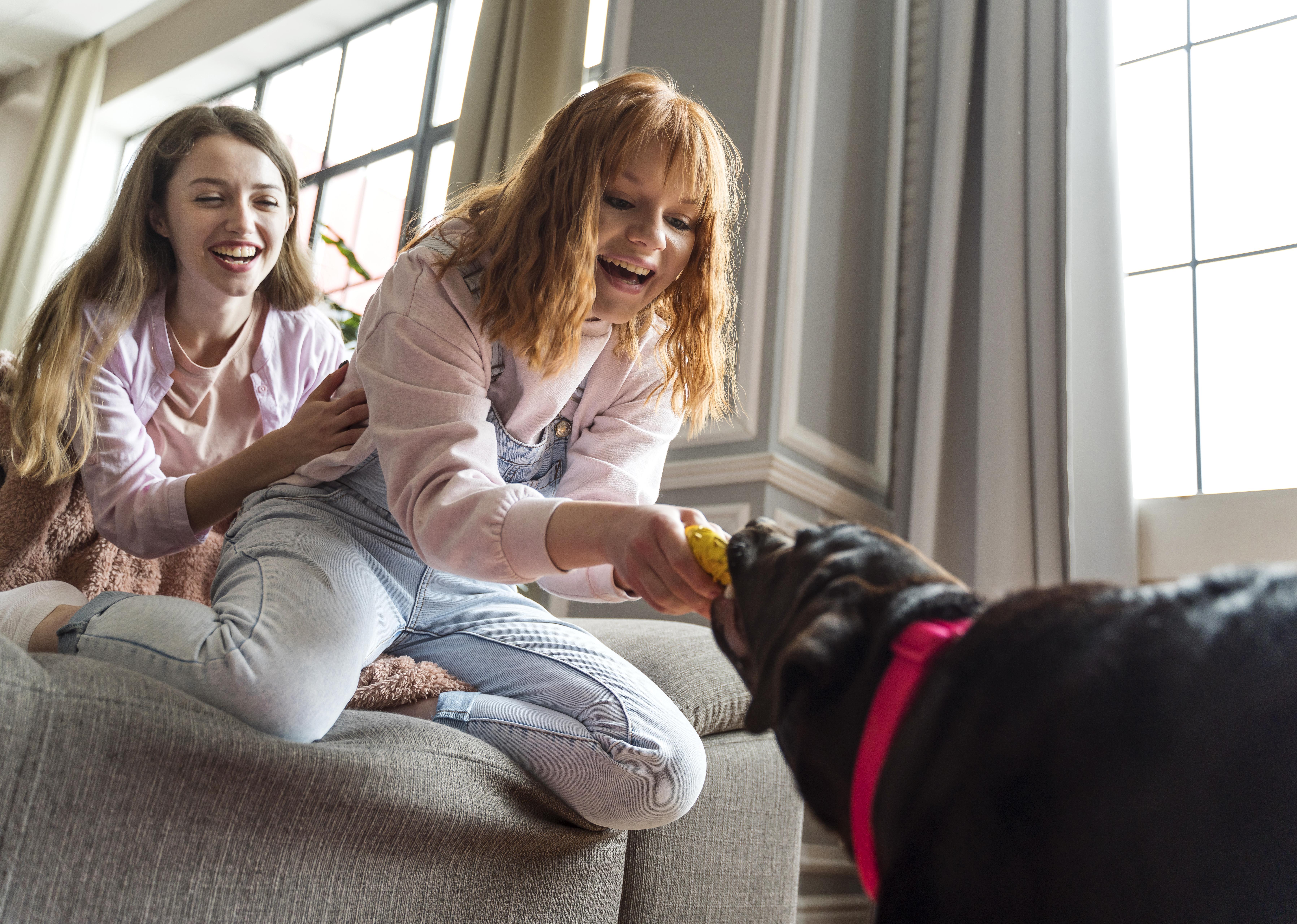 Devenir pet sitter professionnel : quel budget pour investir dans son matériel de départ ?