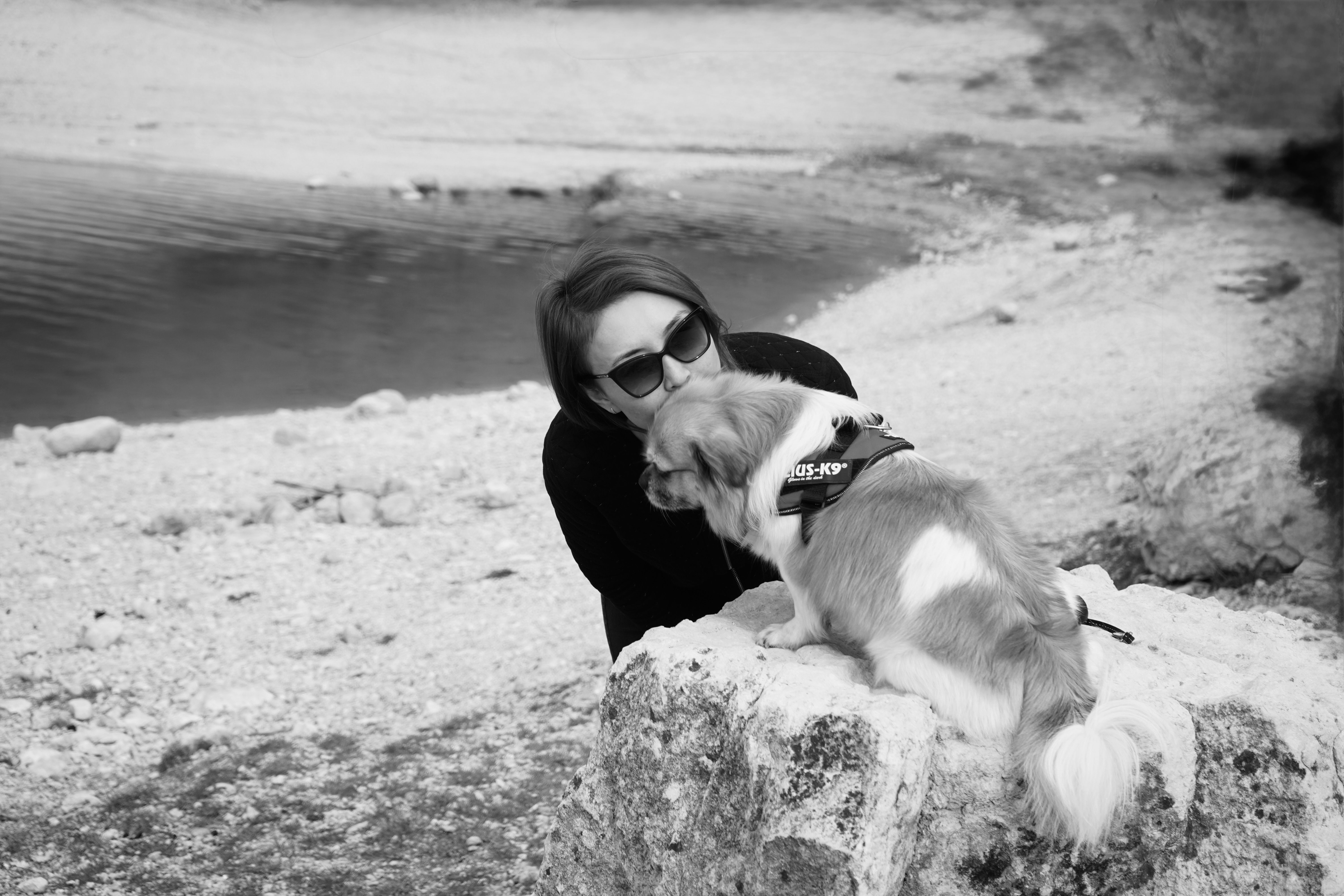 Pourquoi mon chien me suit-il partout, même aux toilettes ? Décryptage de l'hyper-attachement