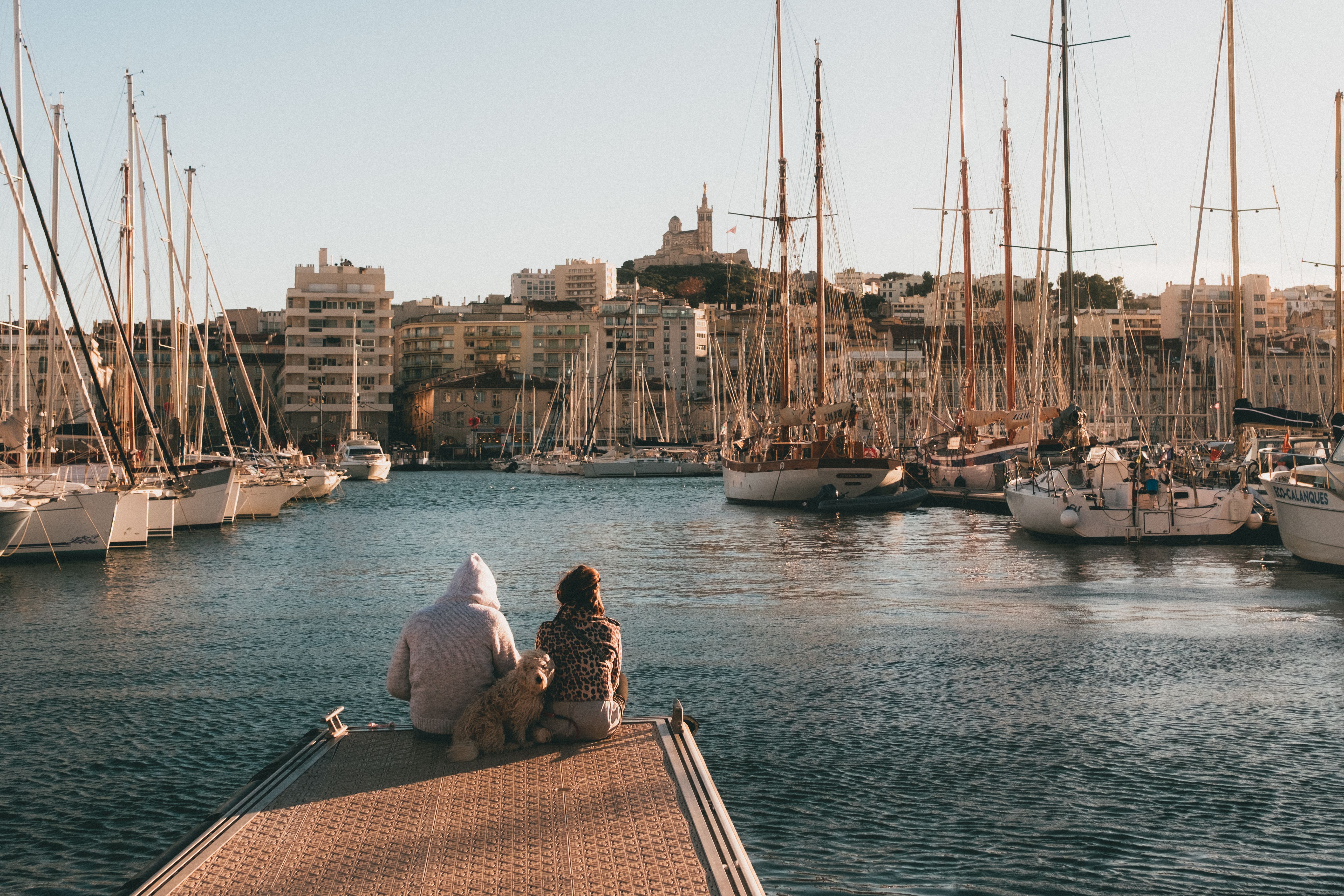 Pet sitting à Marseille : comment faire garder votre animal dans la cité phocéenne ?