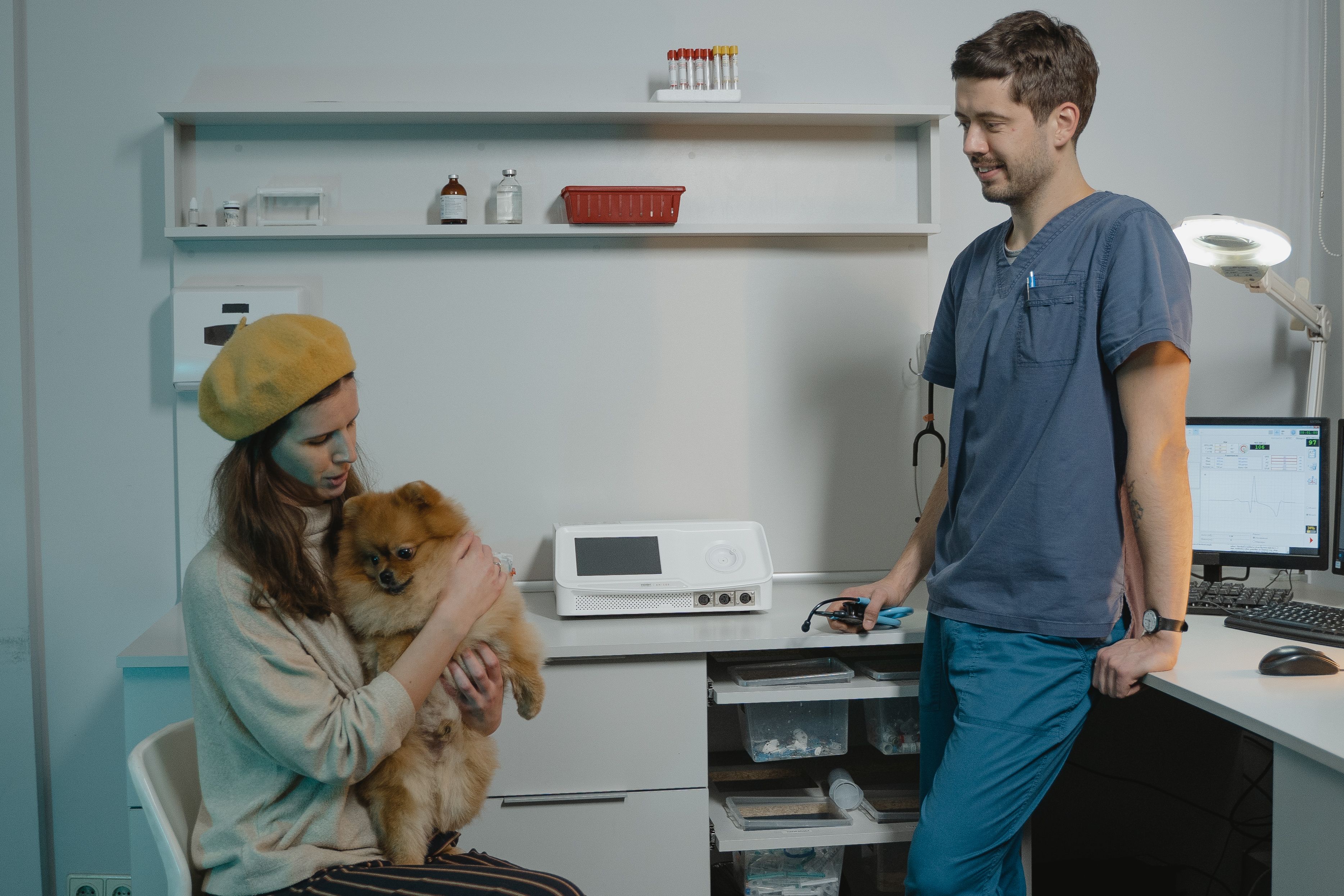 Vivre avec un chien à Montpellier : où trouver un vétérinaire de garde ou d’urgence ?
