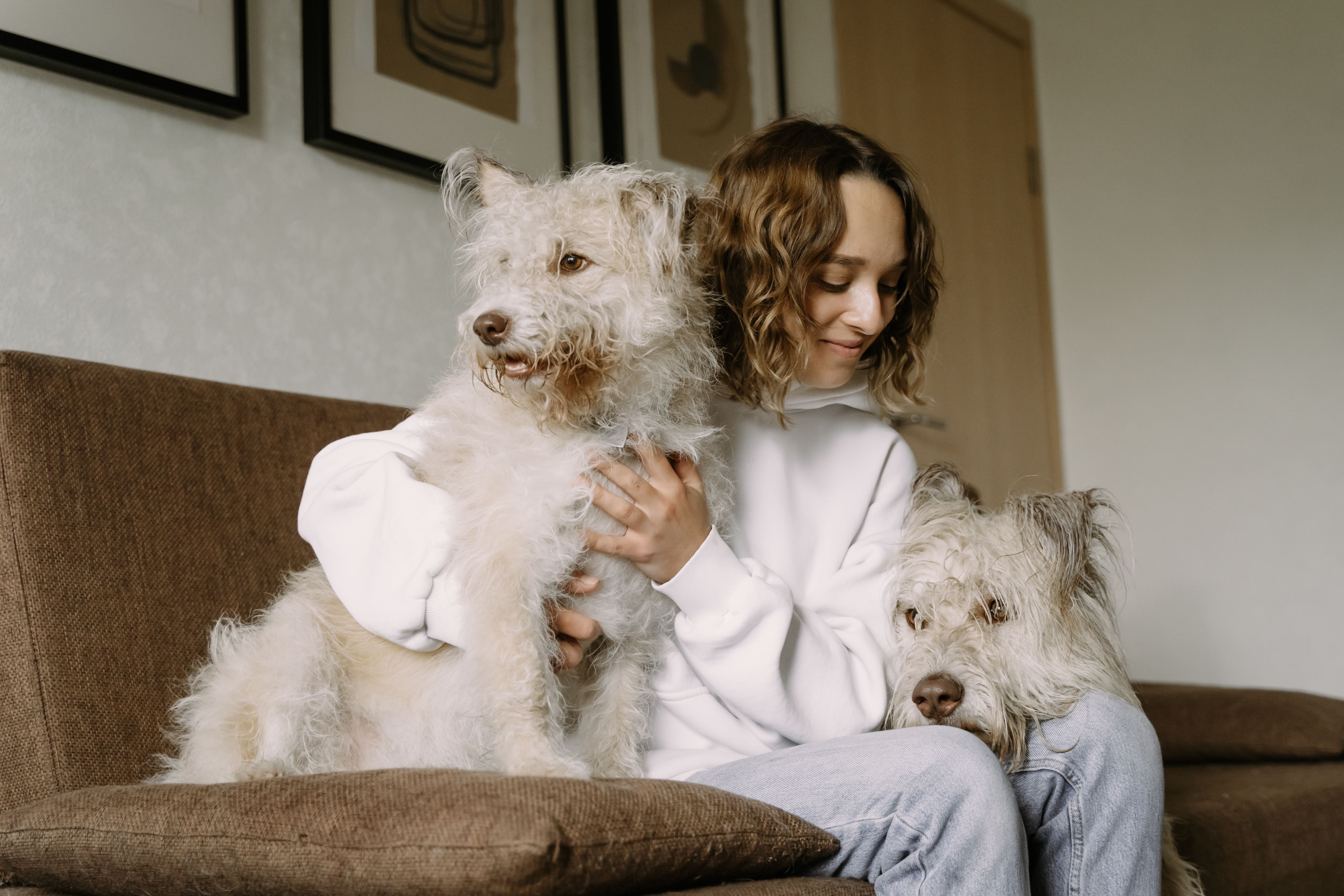 Comment fixer ses tarifs en pet sitting ? Le guide complet des prix moyens par prestation