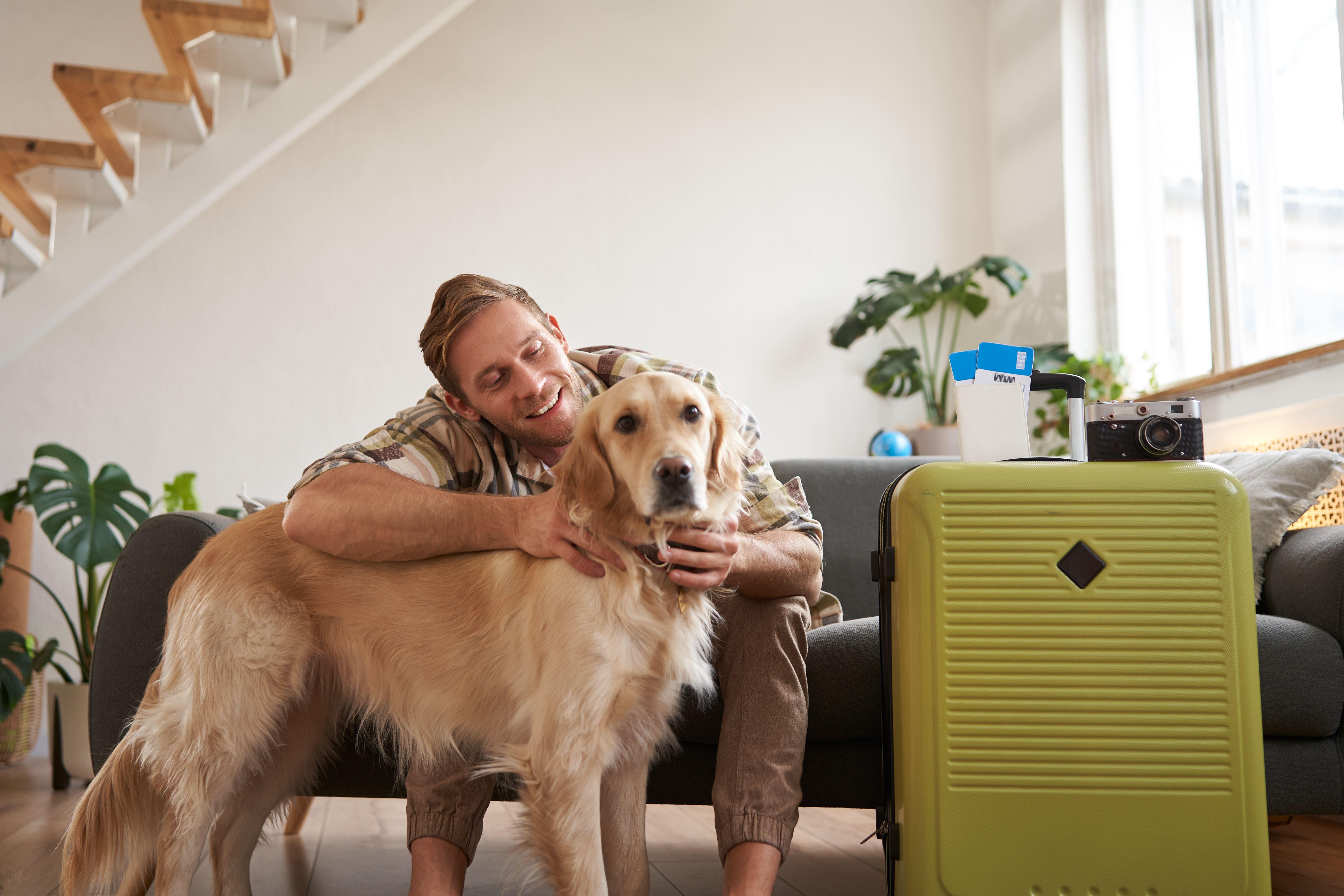 Location de vacances, hôtel, camping : Pourquoi faire garder son animal est parfois mieux que l'emmener ?