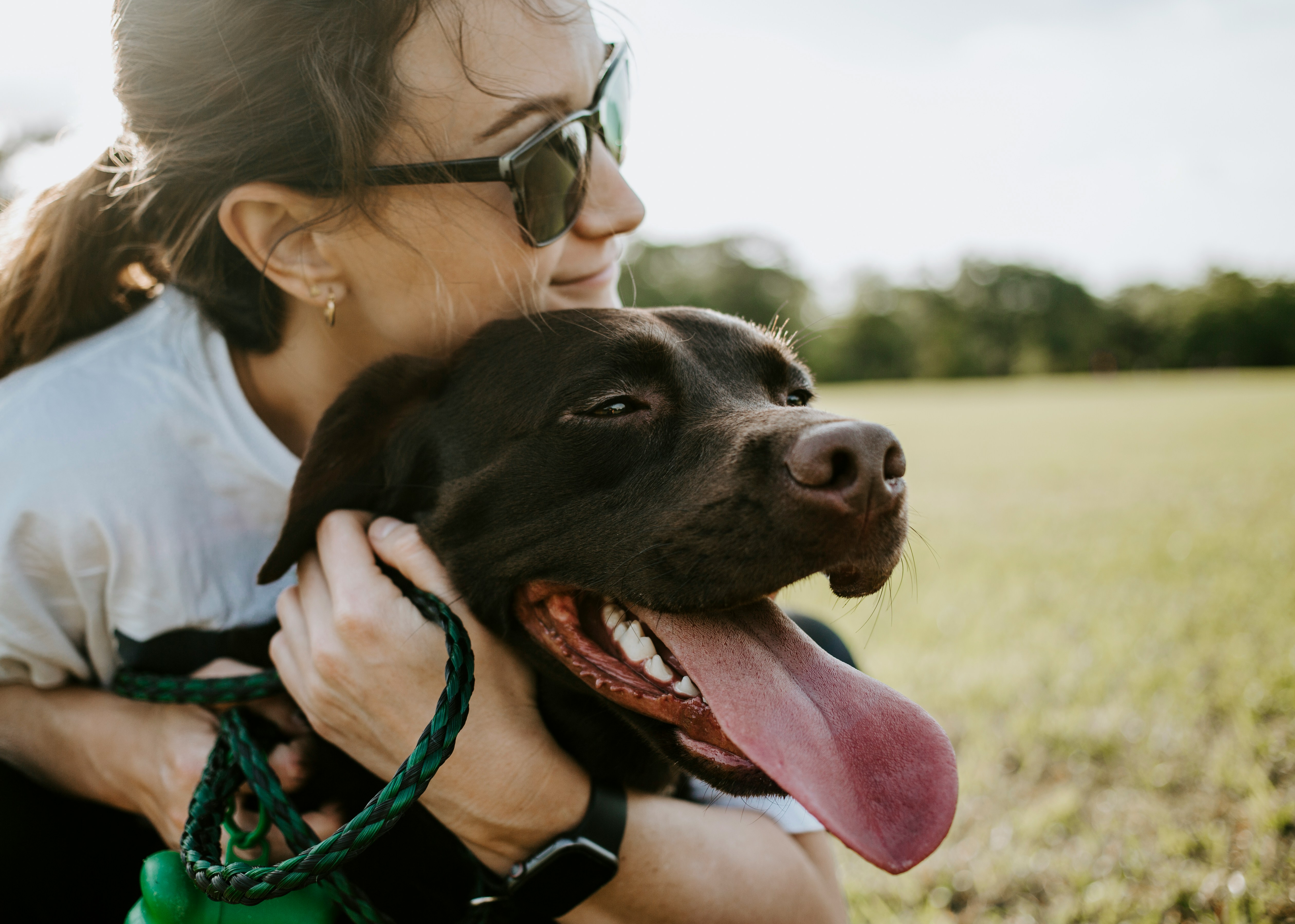 Clés perdues, porte claquée, alarme déclenchée : Comment gérer les imprévus logistiques en pet sitting ?