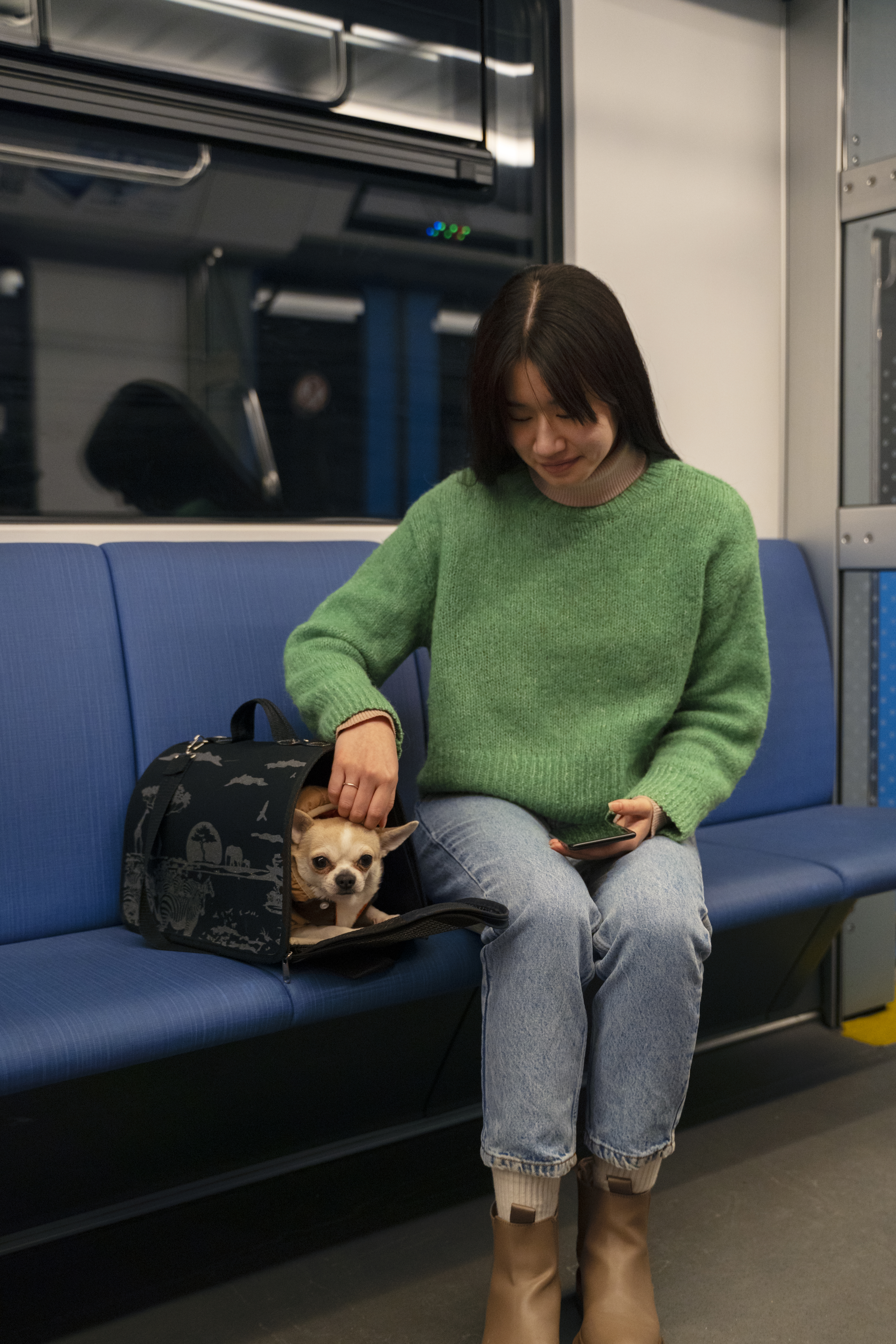 Le guide des transports avec un chien à Paris : Métro, RER, Bus et Pet-sitting