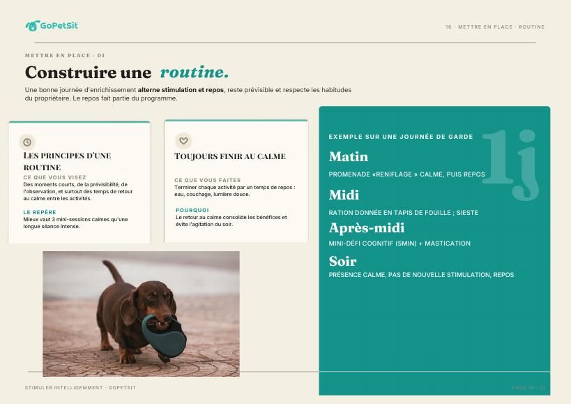 Aperçu du guide, page 3