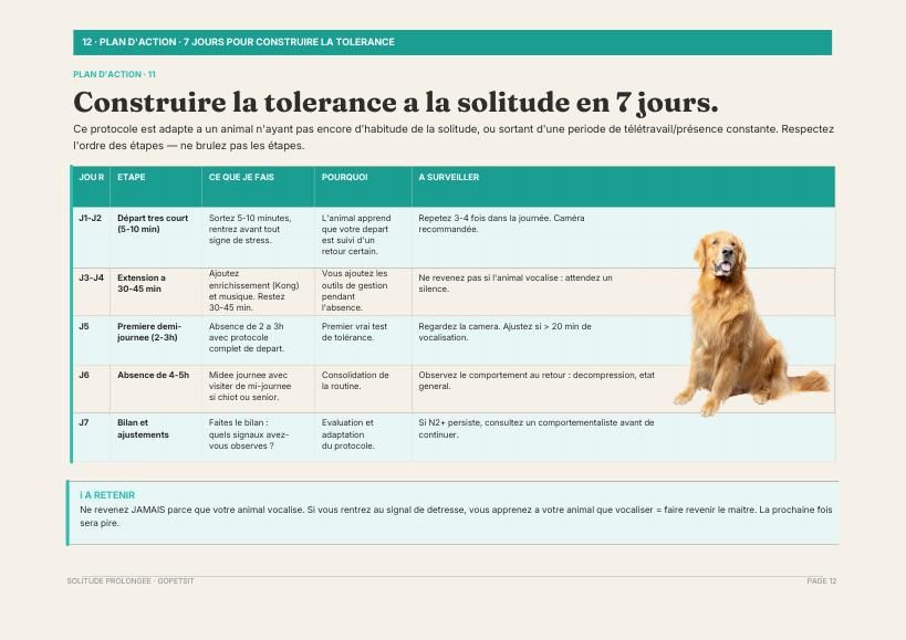 Aperçu du guide, page 2