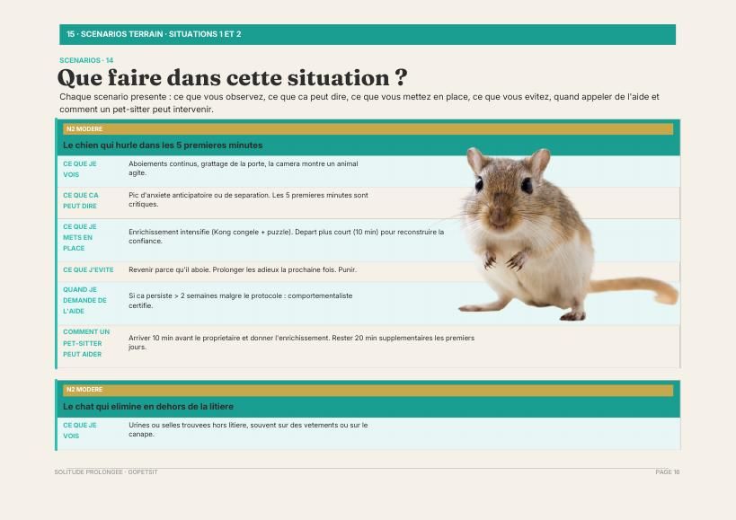 Aperçu du guide, page 3