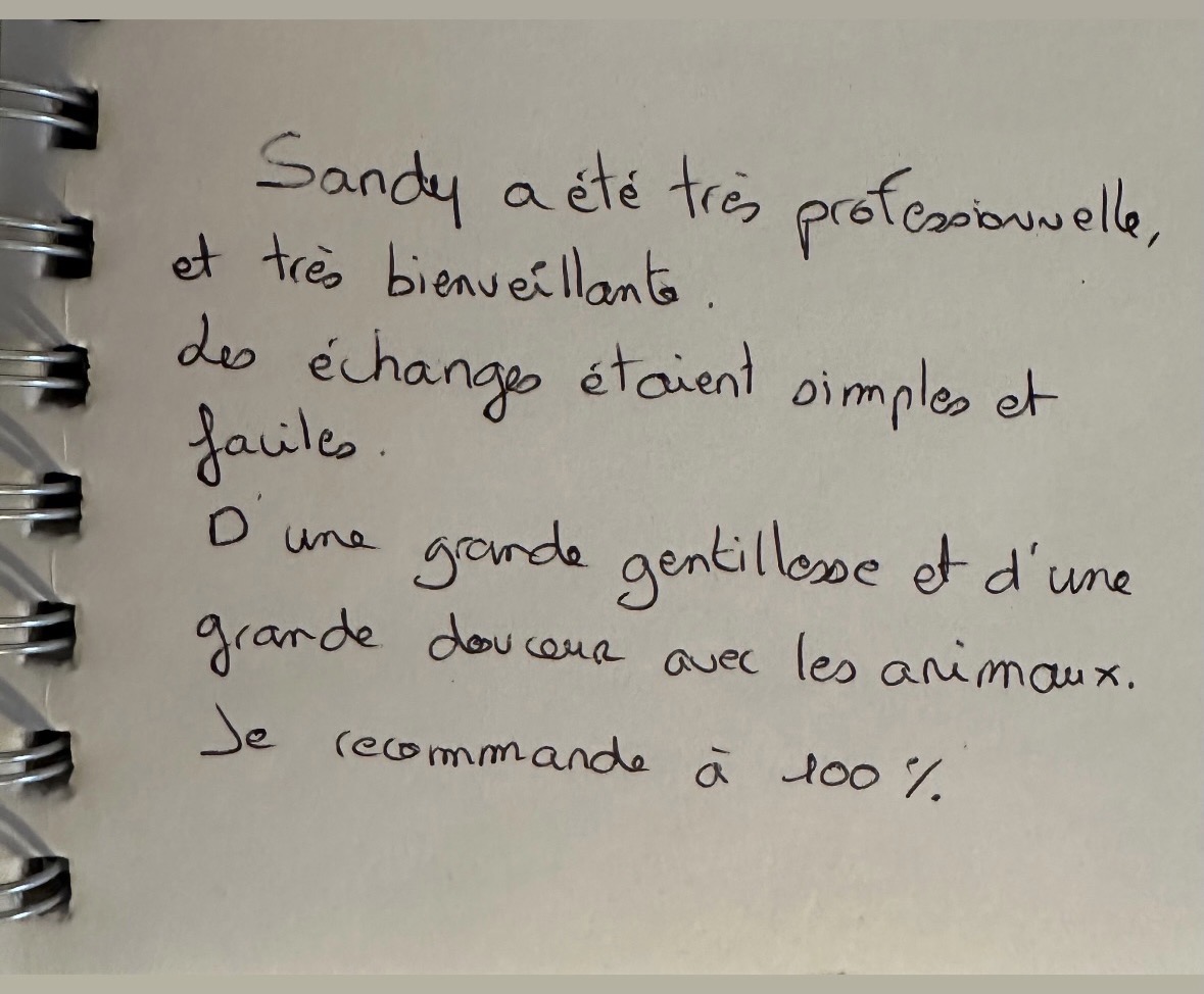 Photo de Sandy