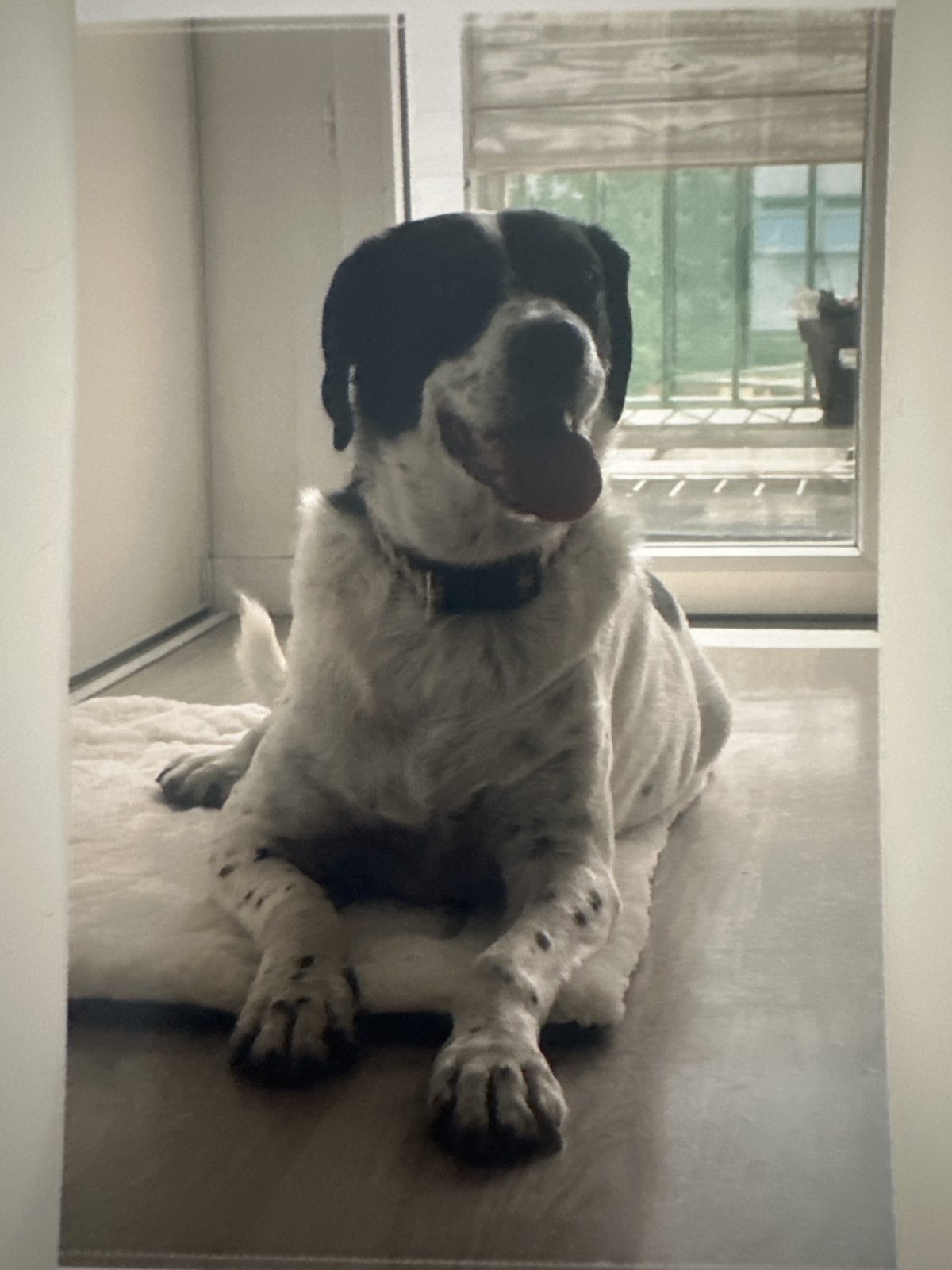 Photo de Sandy