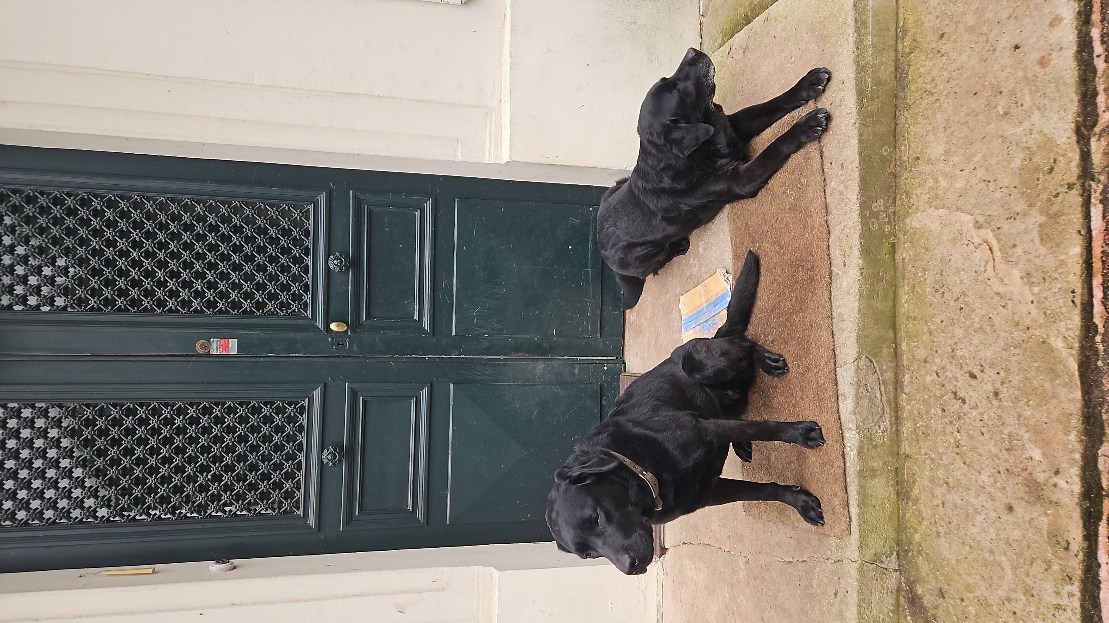 Photo de Estelle-laly