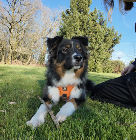 Sarah Bromberger Legube