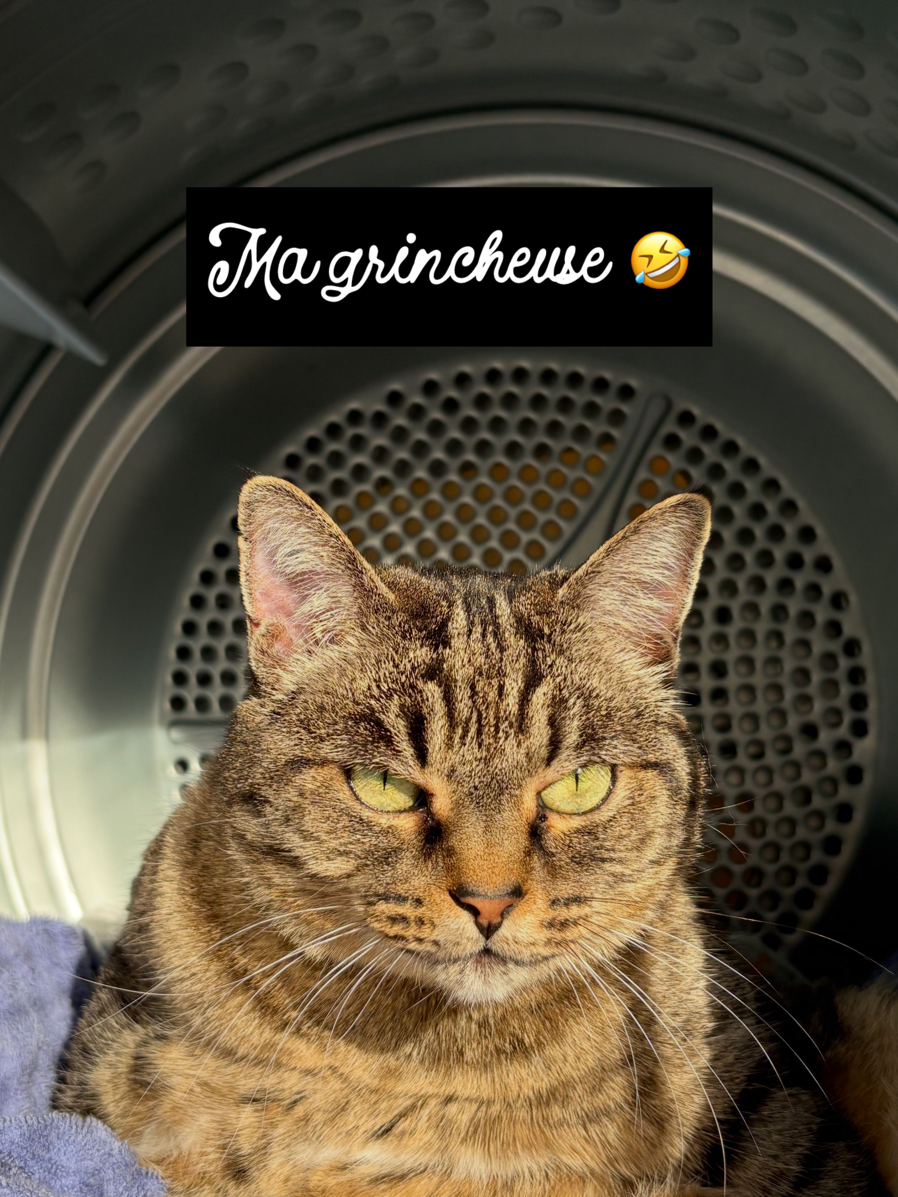 Photo de Alexandrine