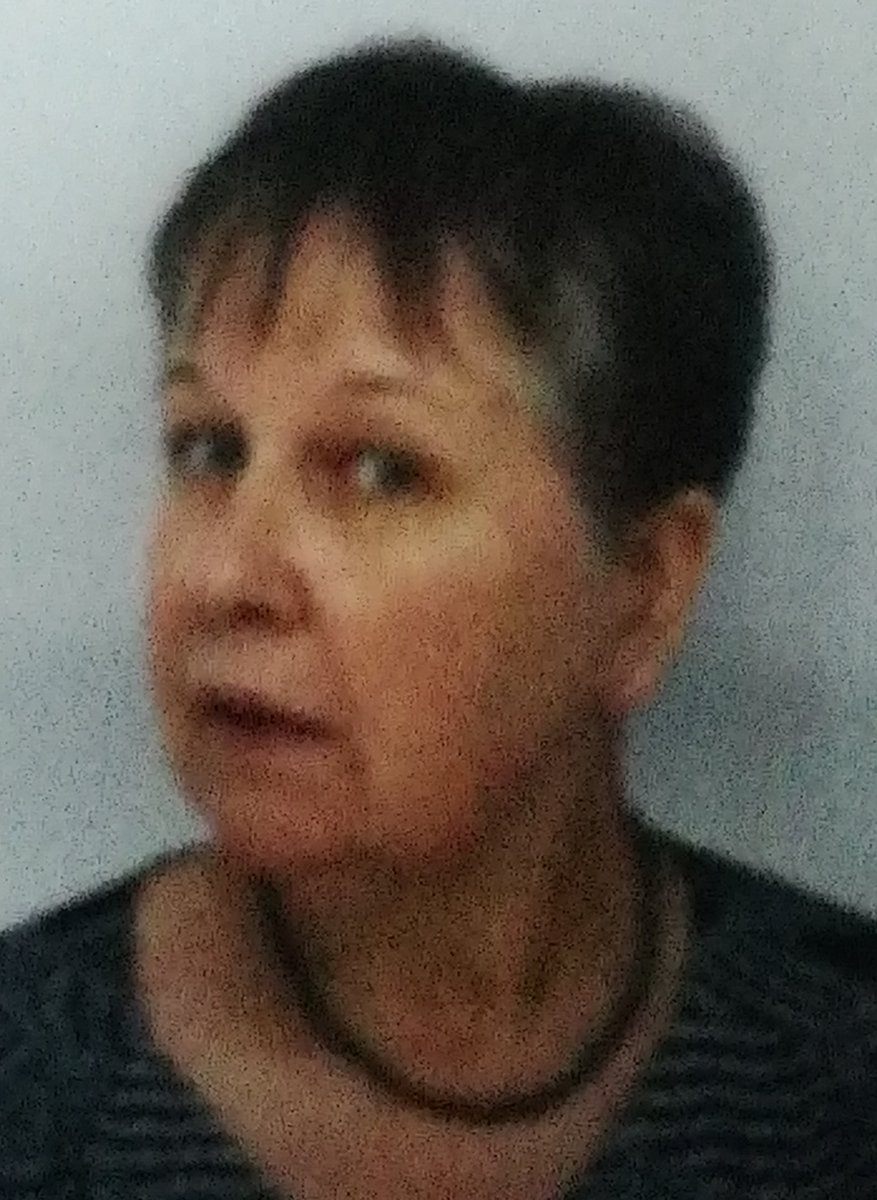 GISELE DECOCK