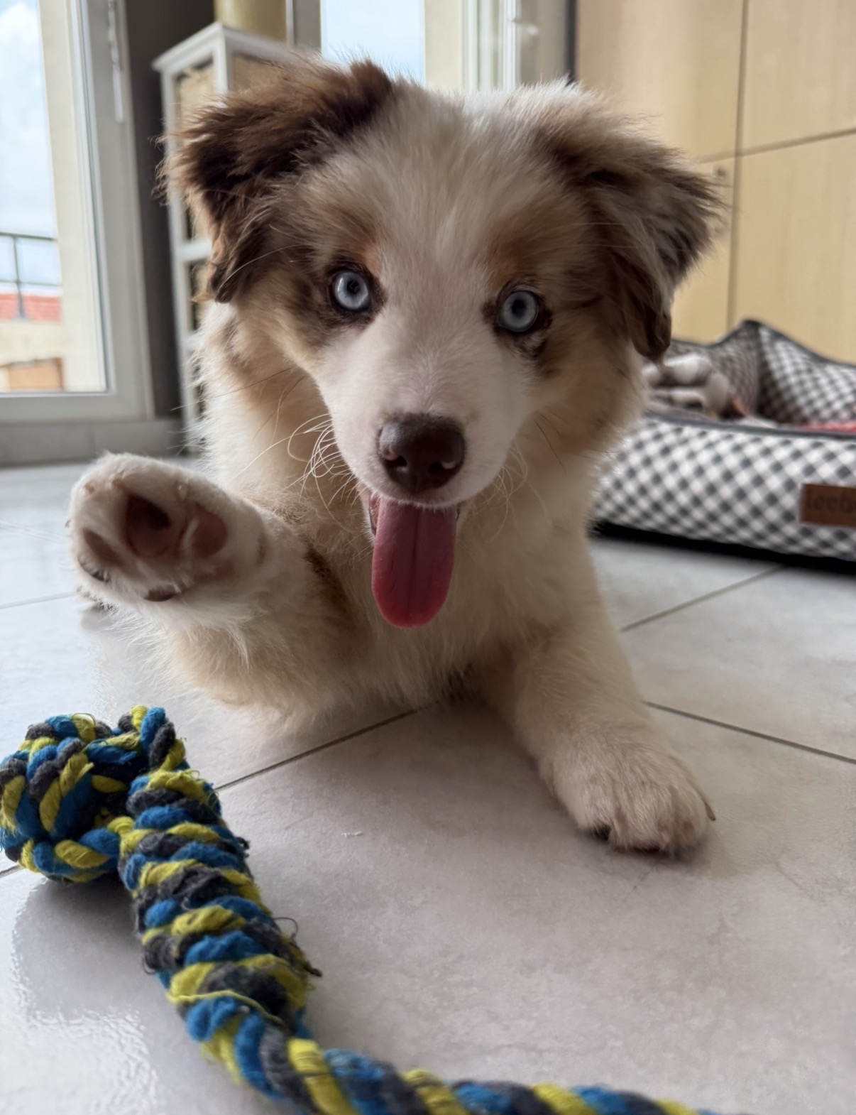 Photo de Maéva